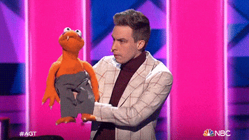 Season 17 Puppet GIF by The Voice