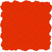 celebrate red roses GIF by La Fleur Bouquets