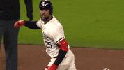 Celebrate Major League Baseball GIF by MLB