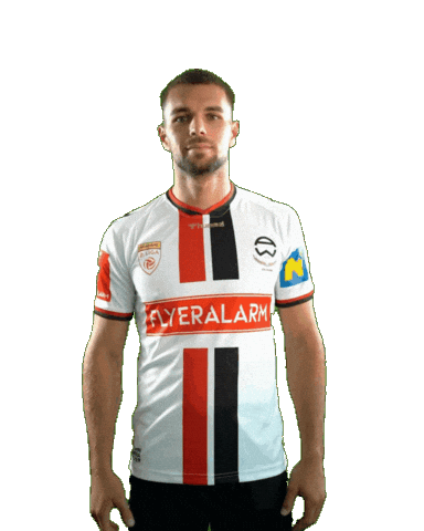 Admira Sticker by KSV1919