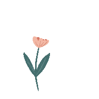 denizbulbulart pink flower flowers pembe Sticker