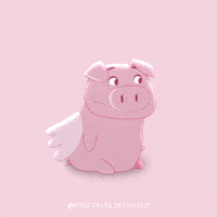 PositivelyPigasus sus suspicious pigasus positivelypigasus GIF