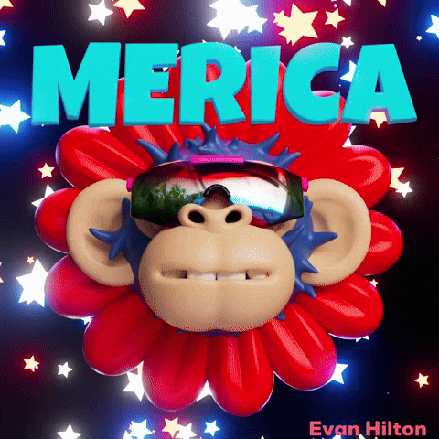 4Th Of July Stars GIF by Evan Hilton