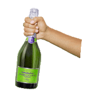 FaireLaFete celebrate cheers pop champagne Sticker