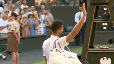 Novak Djokovic GIF by Wimbledon