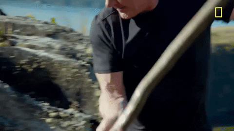 natgeochannel giphydvr new zealand gordon ramsay uncharted GIF