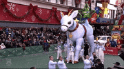 Macys Parade Pony GIF by The 96th Macy’s Thanksgiving Day Parade