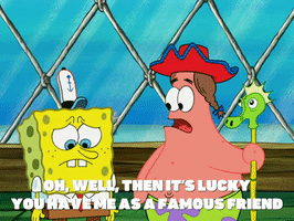 season 5 GIF by SpongeBob SquarePants