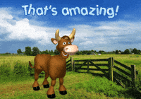 Cows Expressions GIF