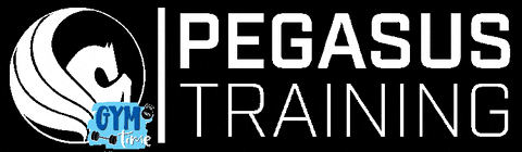 pegasustraining giphygifmaker giphyattribution fitness gym GIF