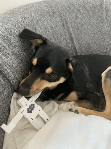 MargoPolska giphyupload GIF