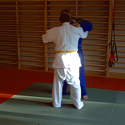 inspiration judo GIF by My Next Games