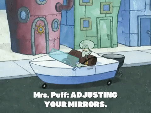 season 5 GIF by SpongeBob SquarePants