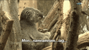 GIF by Mitteldeutscher Rundfunk