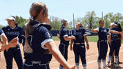 NevadaWolfPack happy dancing celebration softball GIF