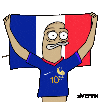France Football Sticker by shremps