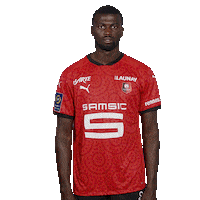 Ligue 1 Football Sticker by Stade Rennais F.C.