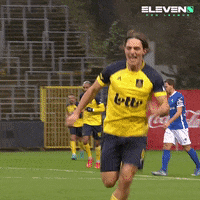 Football Soccer GIF by ElevenSportsBE