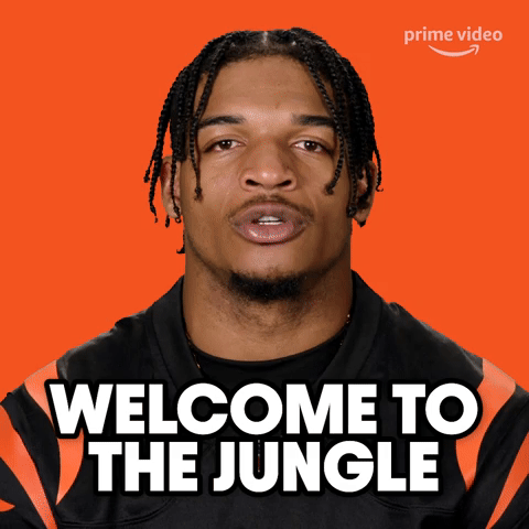 Welcome to the Jungle