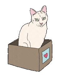 White Cat Sticker