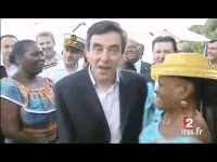 archive wtf GIF by franceinfo