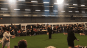 dog GIF by Westminster Kennel Club