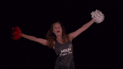 Msumdance GIF by MSUM Dragons