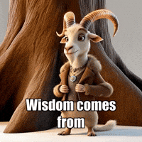 Wisdom Experience GIF by Radiantelope