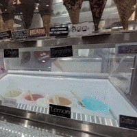 GIF by Martin