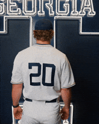 Georgia Tech Baseball GIF by Georgia Tech Yellow Jackets
