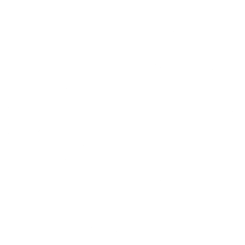 BembelTownRollerDerby sport germany skate frankfurt Sticker