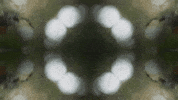 Art Film GIF by jorgemariozuleta