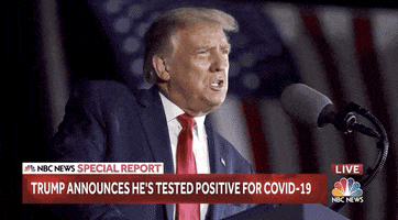 Donald Trump GIF by GIPHY News