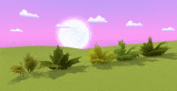 grass bush GIF by Floatlands