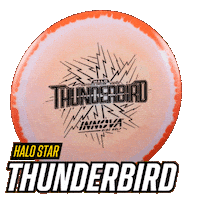 Disc Golf Thunderbird Sticker by Innova Discs