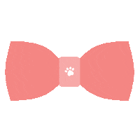 valentines day love Sticker by Rover.com