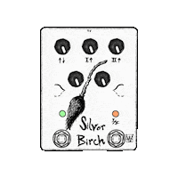 Silver Birch Swamp Witch Sticker