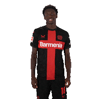 Bayer 04 Yes Sticker by Bayer 04 Leverkusen
