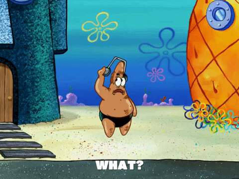 season 6 GIF by SpongeBob SquarePants