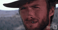 GIF by SharkTv