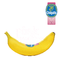 breast cancer pink Sticker by Chiquita