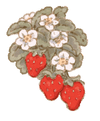 Strawberry Wobble Sticker