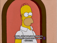 homer simpson GIF