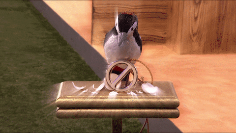 Power Of Veto GIF by Big Brother