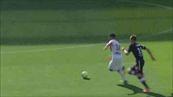 goal lyon GIF by Olympique Lyonnais