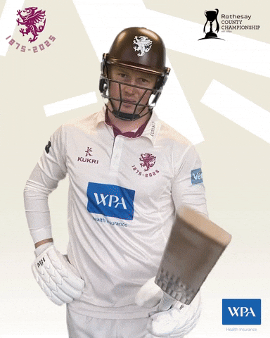 Ginger Cricketer GIF by Somerset County Cricket Club
