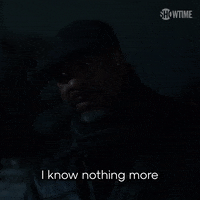 Season 1 GIF by SHOWTIME
