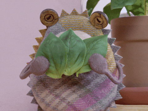 tweedyandfluff giphyupload cute friends sweet GIF