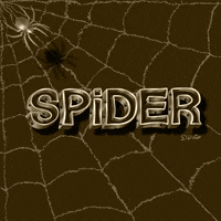 Halloween Spider GIF