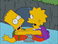 the simpsons episode 3 GIF
